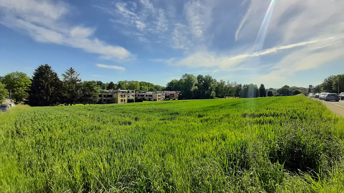 Hier im Gumpisbüel soll auf städtischem Land eine grosse Wohnsiedlung entstehen. (Archiv) Wiese, Acker und ein Wäldchen innerhalb eines Wohnquartiers.